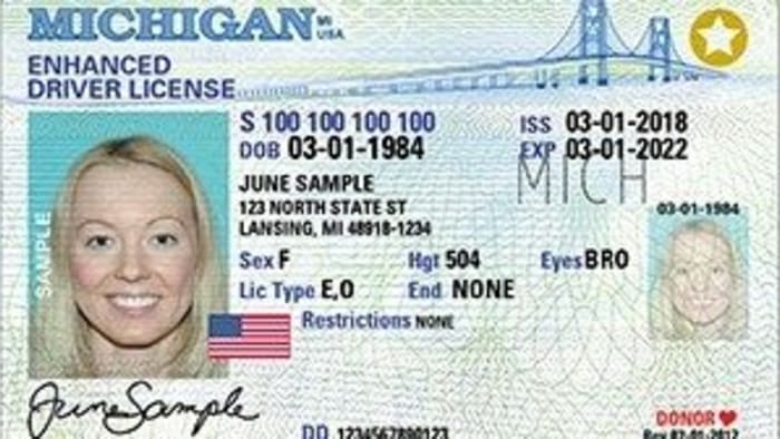 Michigan Id Cards